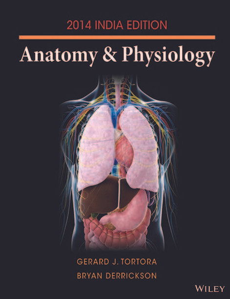 anatomy and physiology by tortora 13th edition